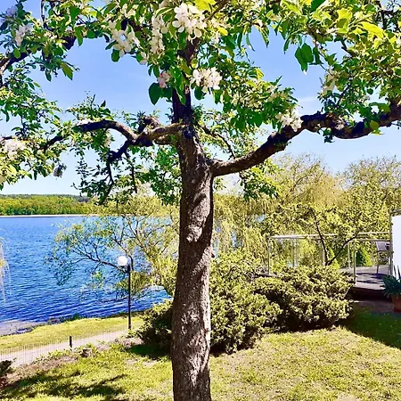 W Mragowie Nad Jeziorem Apartament *